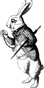 alice-white_rabbit_reduced